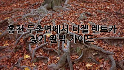 홍천 두촌면에서 디젤 렌트카 찾기: 완벽 가이드